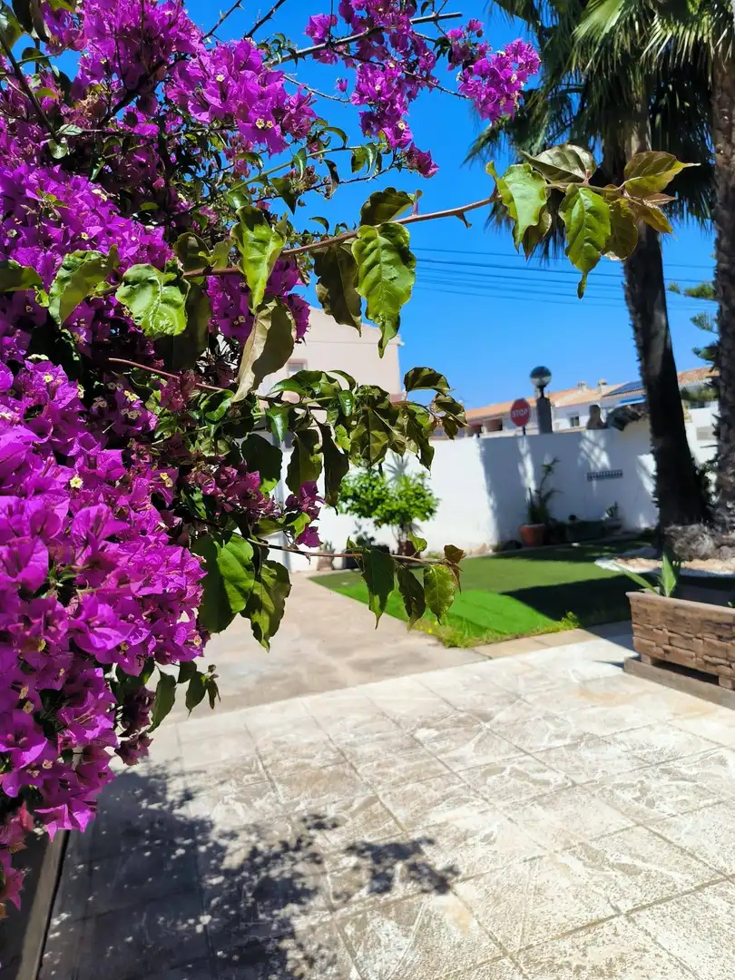 Jardín de Casa adosada en venta en Orihuela con Aire acondicionado, Calefacción y Jardín privado