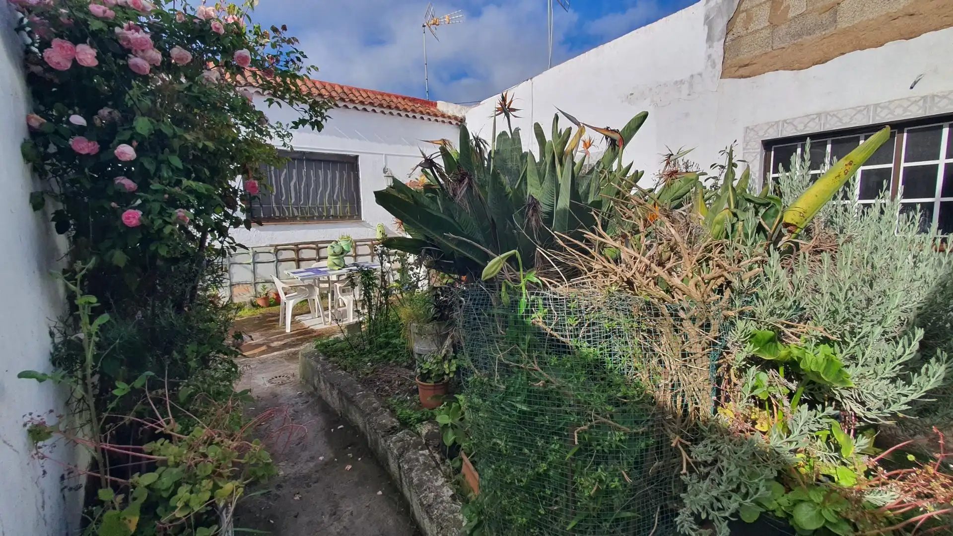 Haus oder Chalet zum Verkauf in Calle LAS CASTRAS, El Tanque