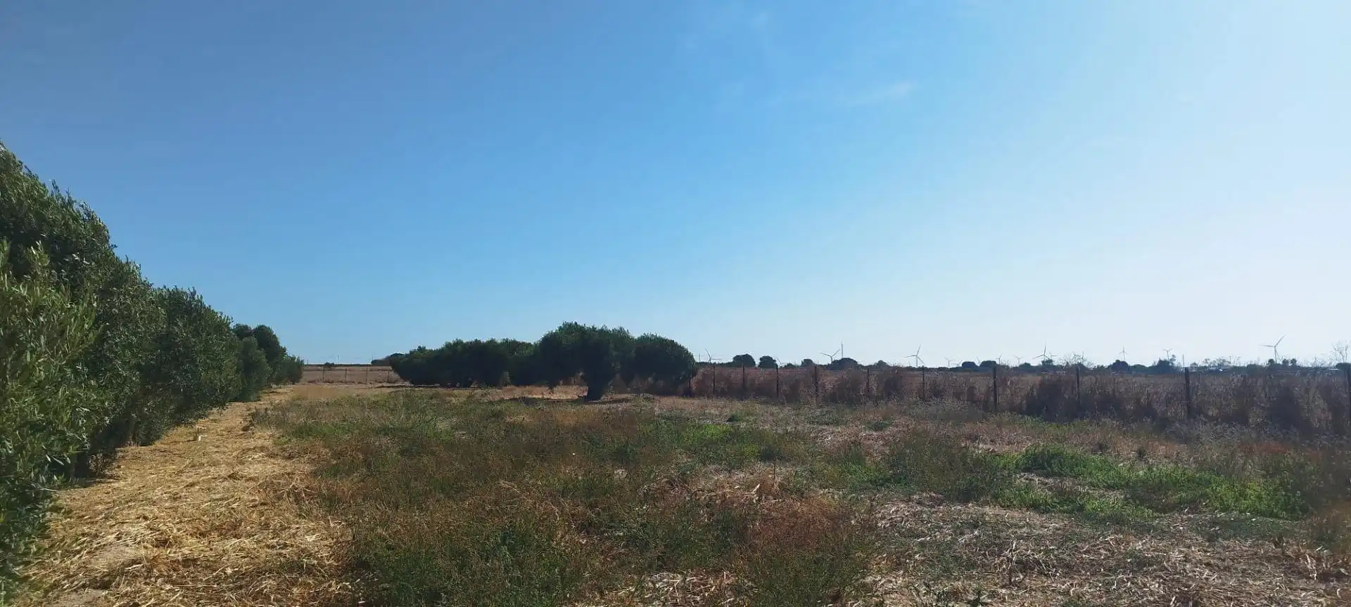 Terreno en venta en Puerto Real