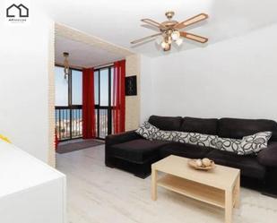 Sala d'estar de Apartament de lloguer en Torrevieja amb Piscina comunitària