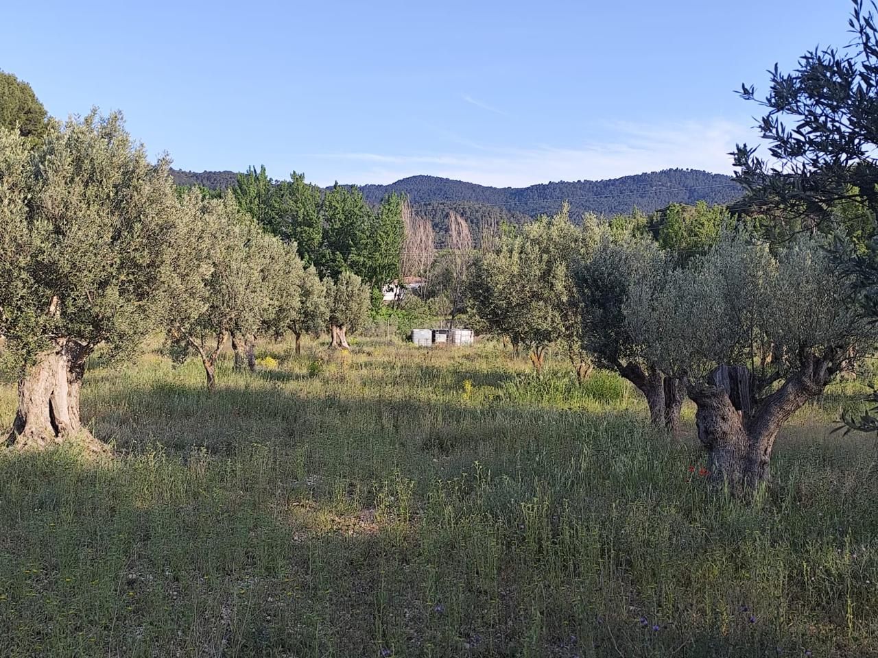 Residential for sale in Ibi