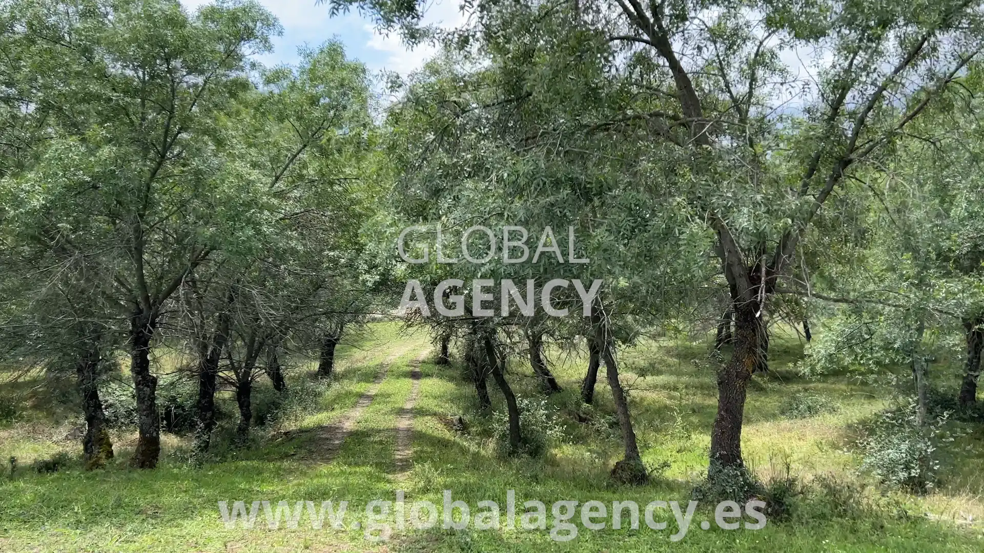 Rural land for sale in Soto del Real, imagen 13