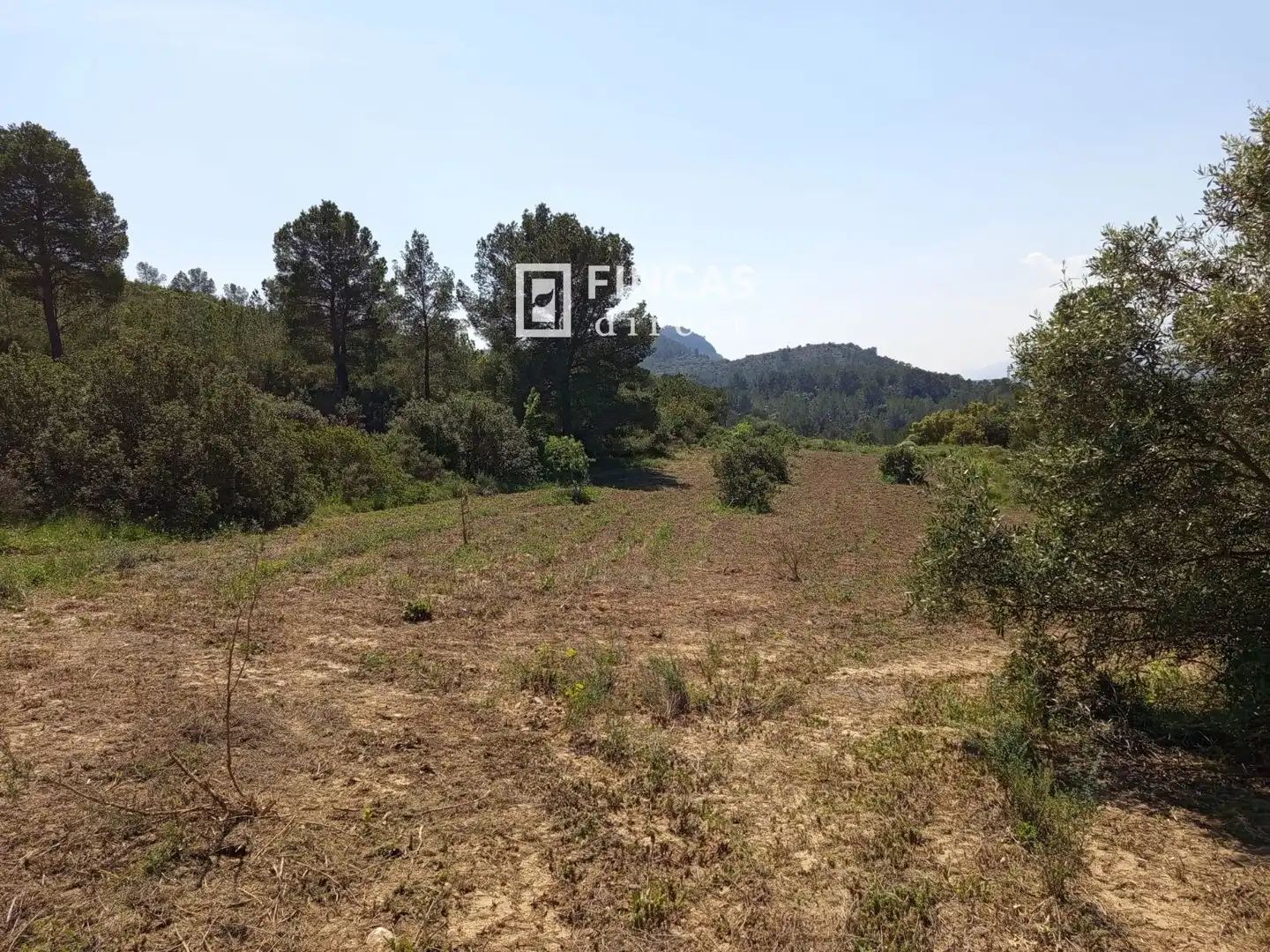Terrain rustique à vendre à WFXW+MPJ, imagen 18