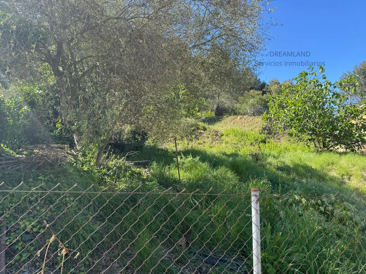 Terreno rustico in vendita a Piera, imagen 5