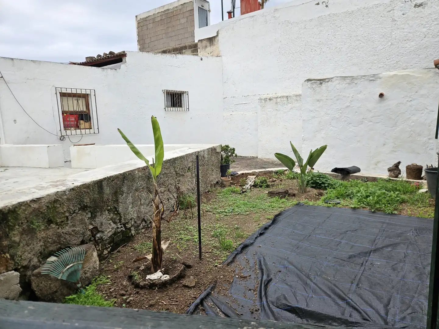 Jardín de Casa o chalet en venta en San Cristóbal de la Laguna