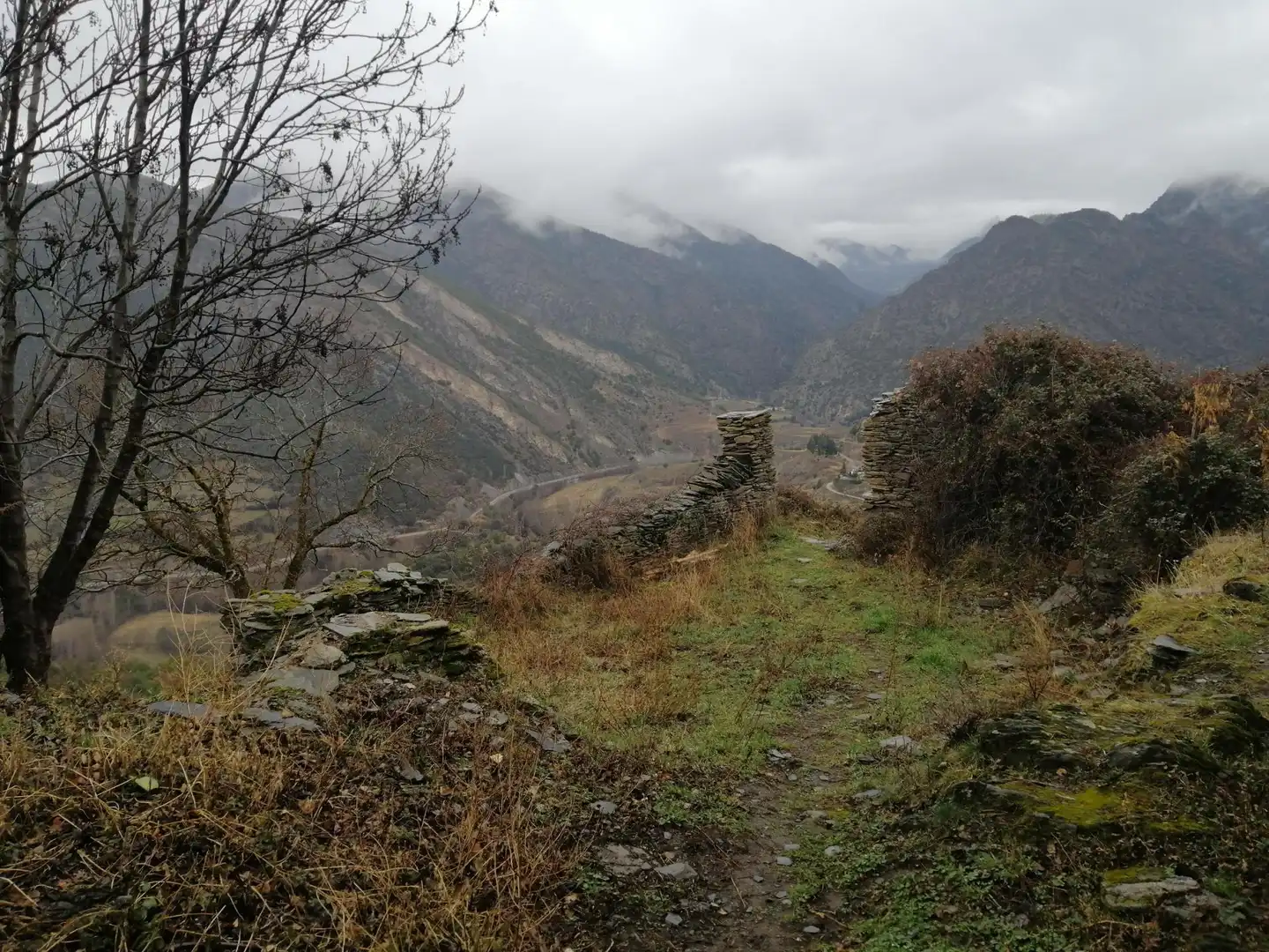 Terreno residenziale in vendita a Farrera
