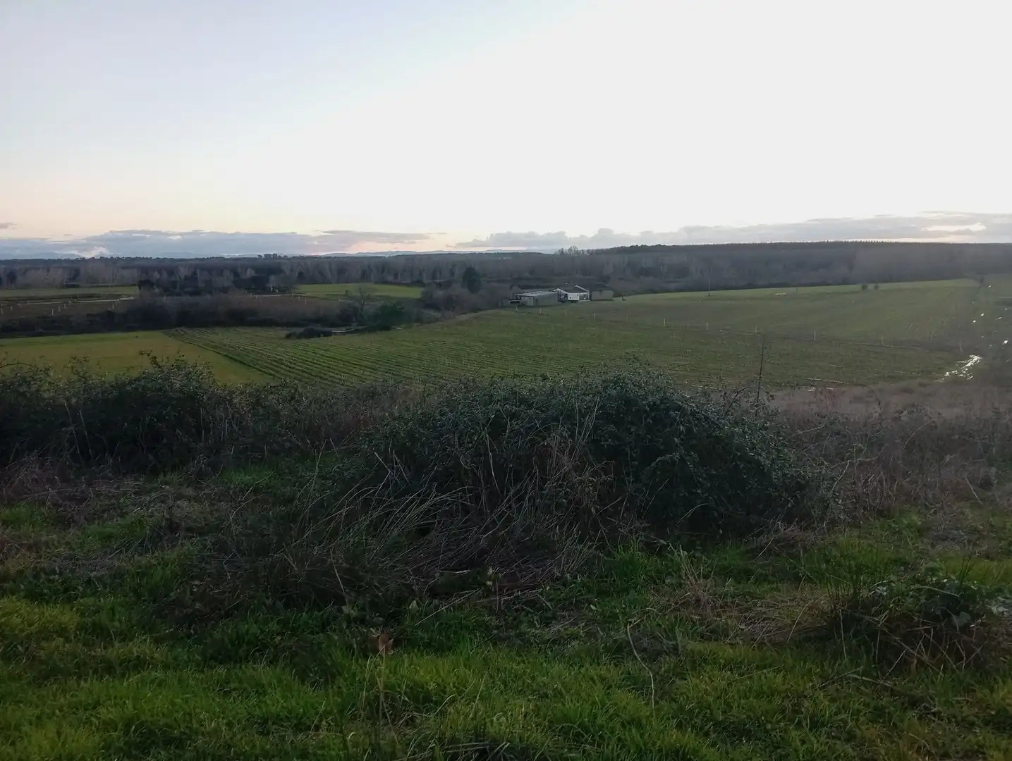 Land for sale in Losar de la Vera