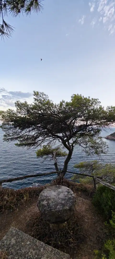 Terrenos y solares en venta en Lloret Residencial - Montlloret, imagen 5