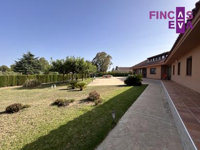 Jardí de Casa o xalet en venda en Almoster amb Aire condicionat, Terrassa i Piscina