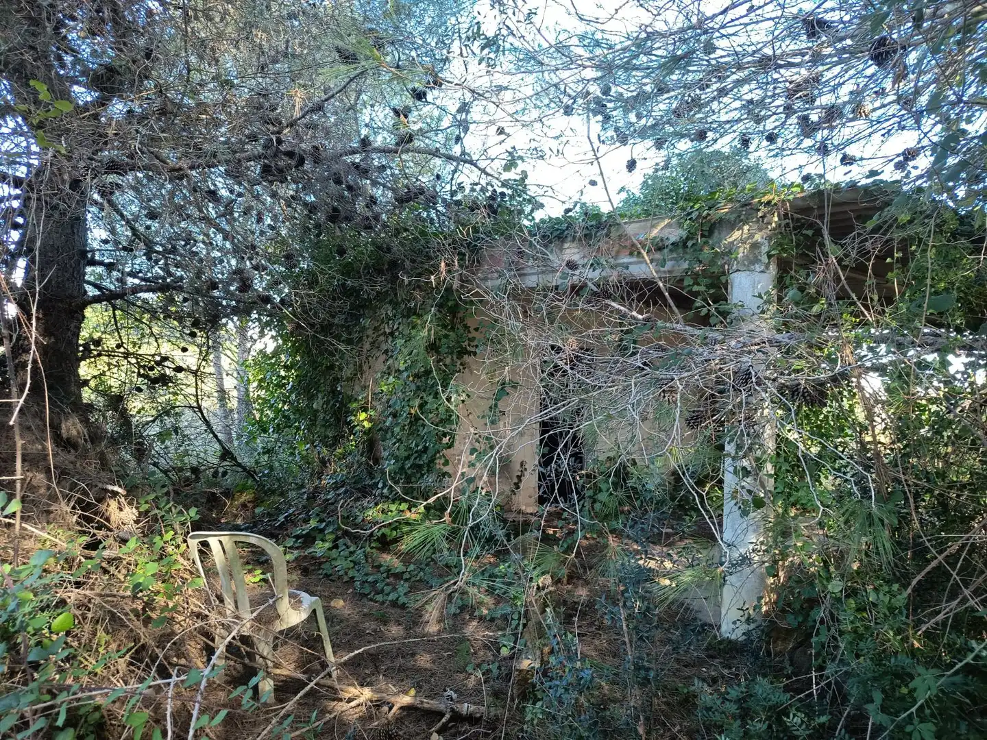 Jardí de Finca rústica en venda en Ulldecona