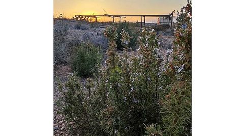 Foto 2 de Casa o chalet en venta en Diseminados Parrilla, Parrilla, Lorca