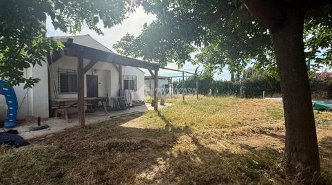 Foto 4 de Finca rústica en venta en Llanoverde, Urb. Los Olivares C/ Pastora 5, Arahal, Sevilla