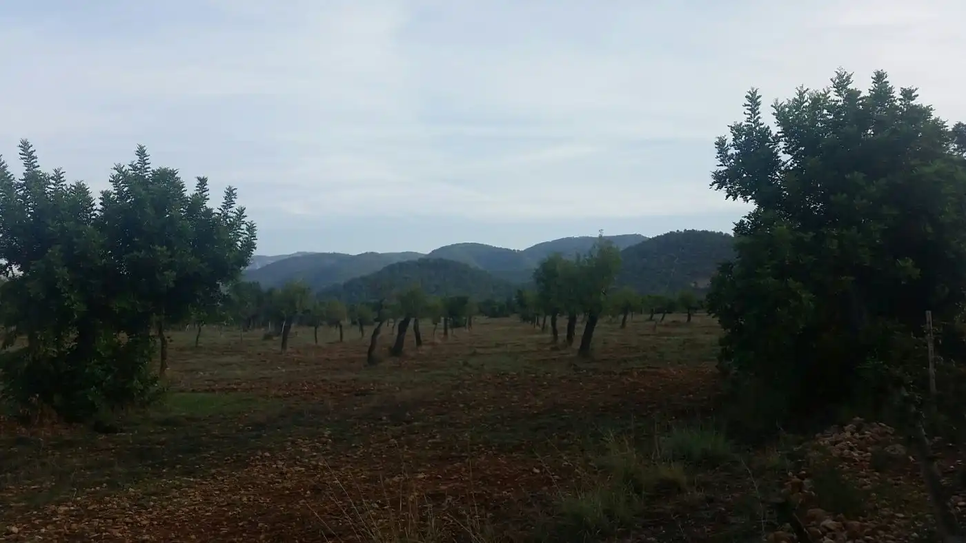 Casa rustica in vendita a Campanet, imagen 9