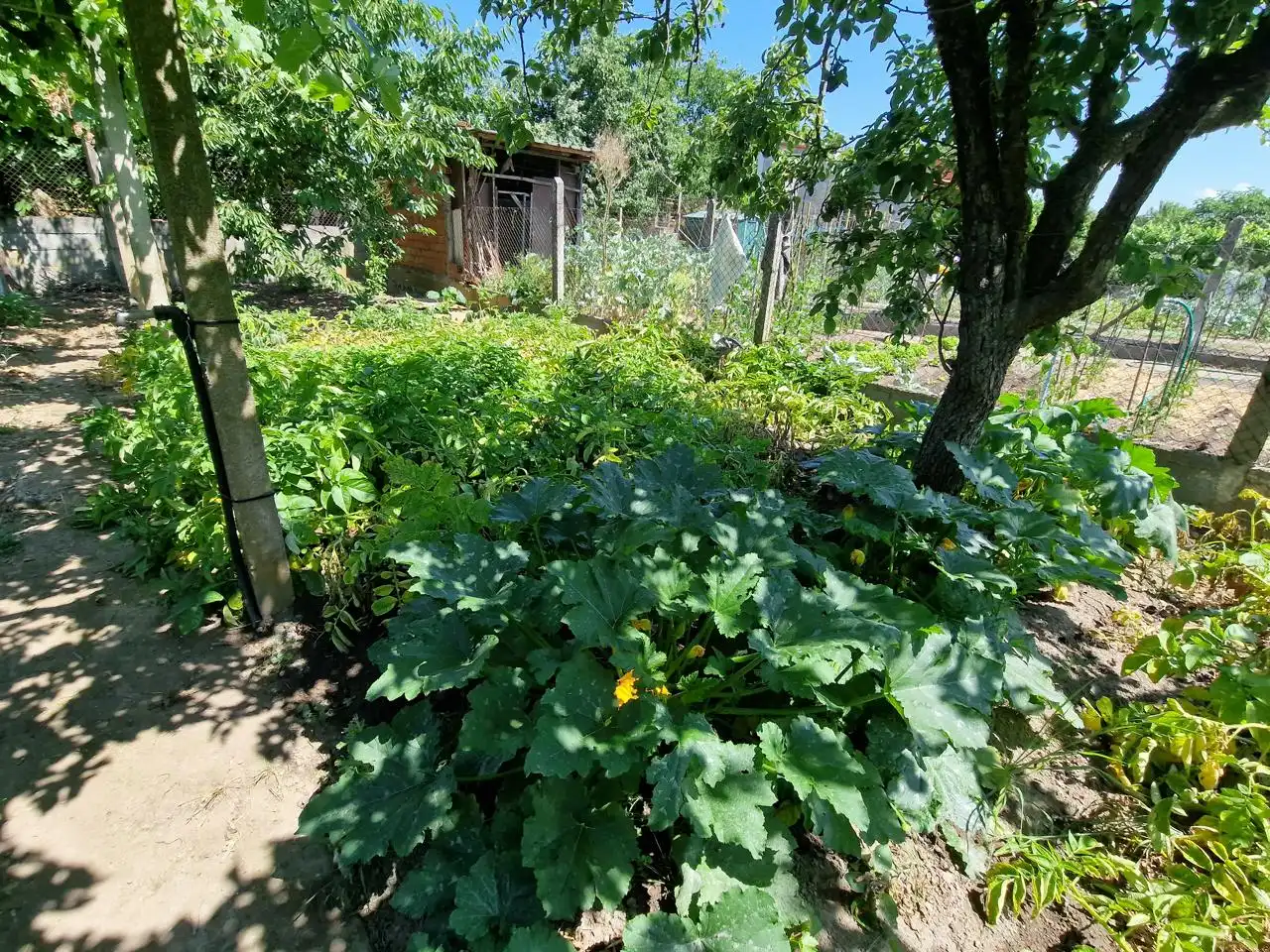 Garden of Houses for sale in Monforte de Lemos  with Heating and Balcony