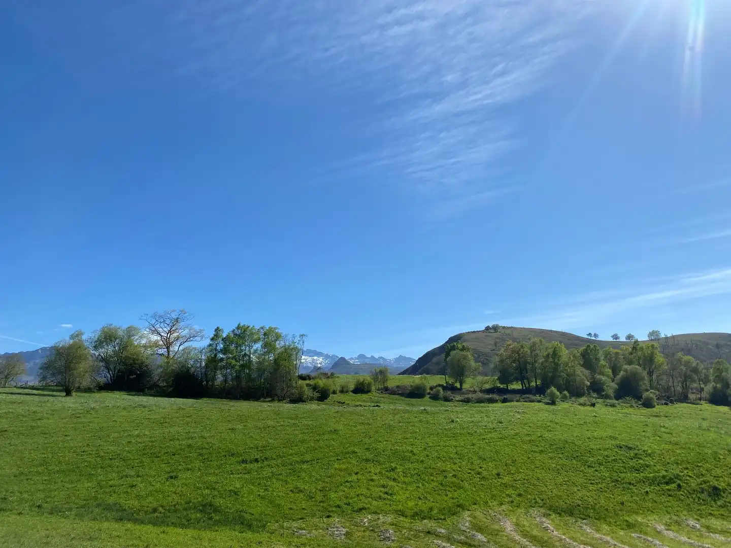 Casa o chalet en venta en Pedroso, Onís