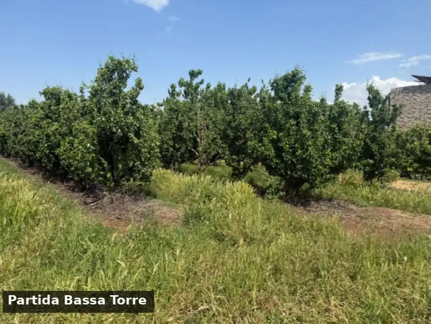 Terreno en venta en Puigverd de Lleida, Lleida