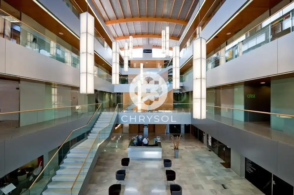 Office space with lift for sale in Avenida Avinguda Corts Catalanes, imagen 20