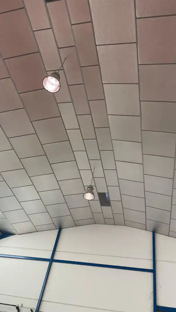 Industriegebäude zum Verkauf in Pedanías - Extrarradio, imagen 4