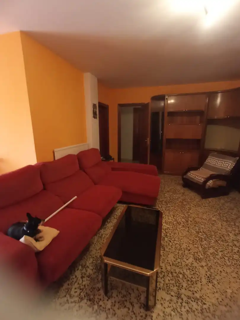 Wohnung mit Aufzug zum Verkauf in Avinguda de Duran i Sanpere, imagen 2