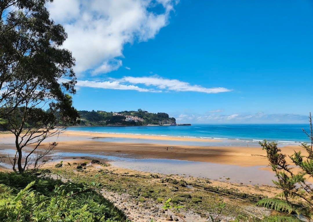 Vista exterior de Edifici en venda en Colunga