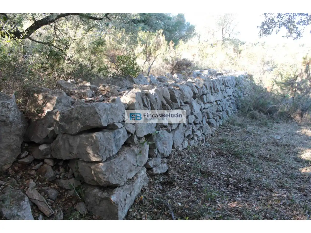 Rural land for sale in Poligono 36, parcela 240, imagen 10
