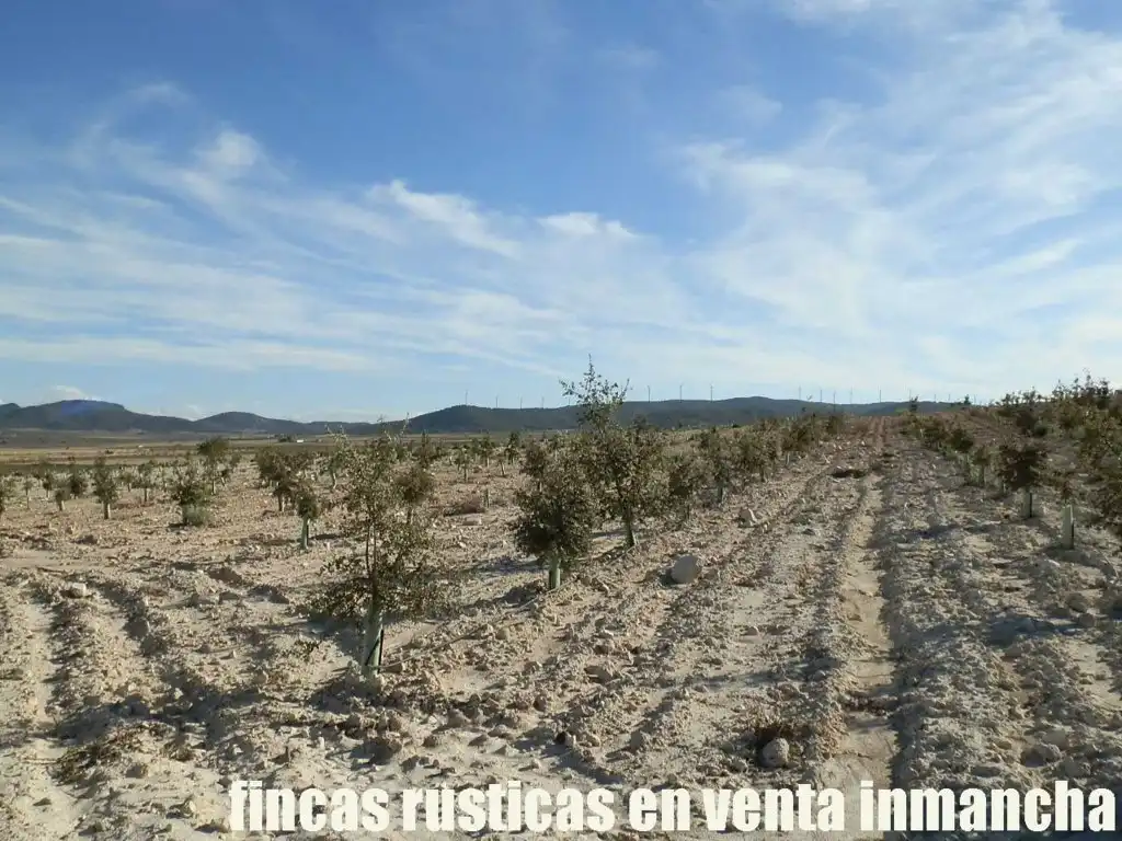 Rustikales Grundstück zum Verkauf in Jumilla, imagen 15