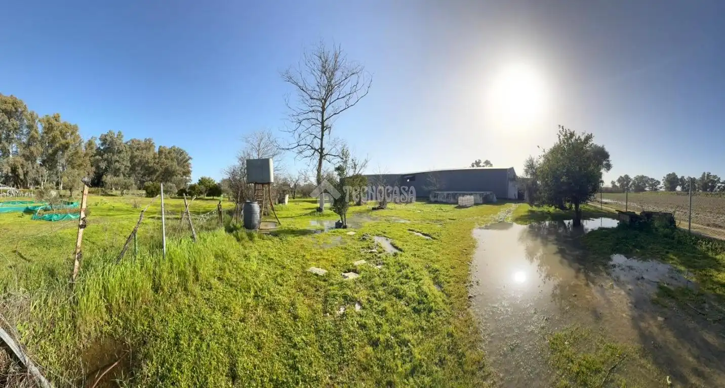 Terreno en venta en Arahal