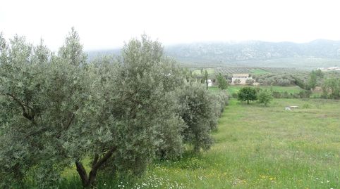 Foto 2 de Terreno en venta en Calle Cerro Limon , Cueva de Menga, Antequera