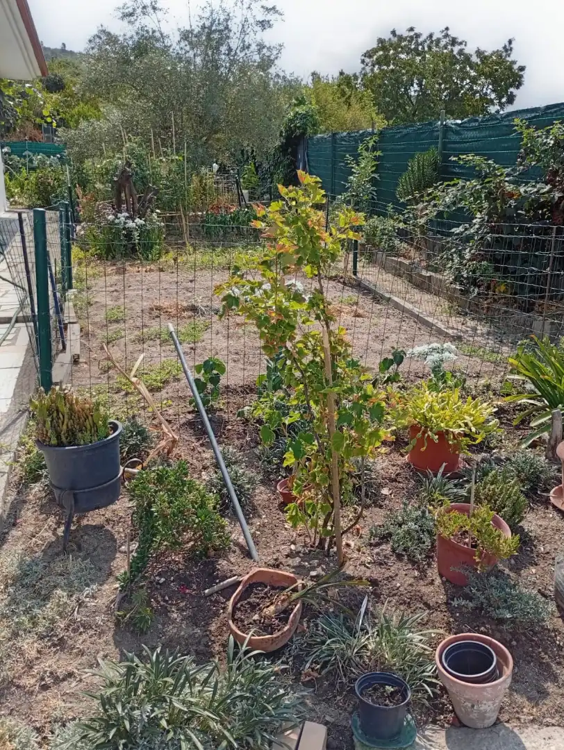 Jardí de Casa o xalet en venda en Ourense Capital  amb Calefacció, Jardí privat i Parquet