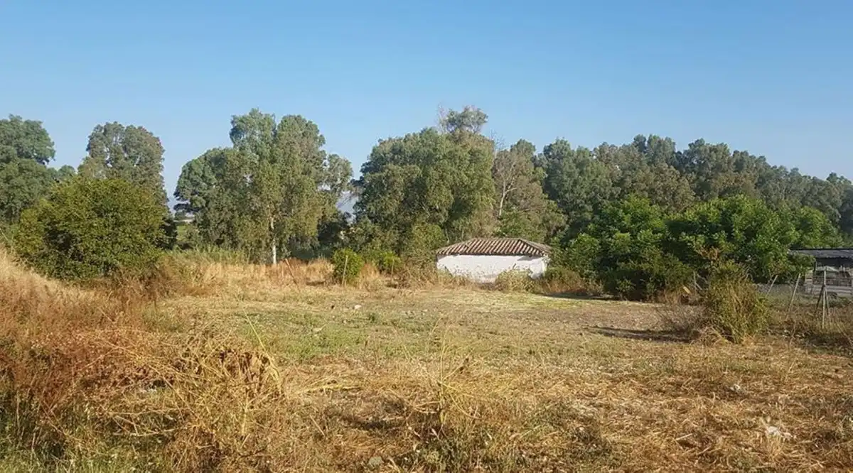 Terreni e lotti in vendita a Coín, imagen 8