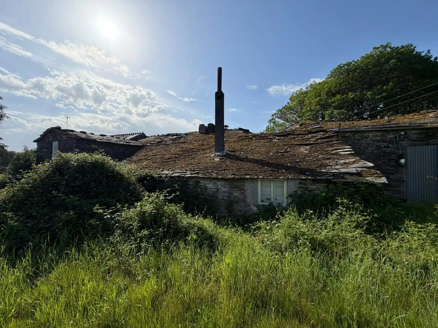 Vista exterior de Finca rústica en venta en Xermade con Jardín privado