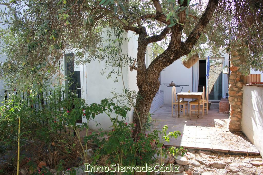 Jardí de Casa o xalet en venda en Algodonales amb Aire condicionat, Calefacció i Jardí privat