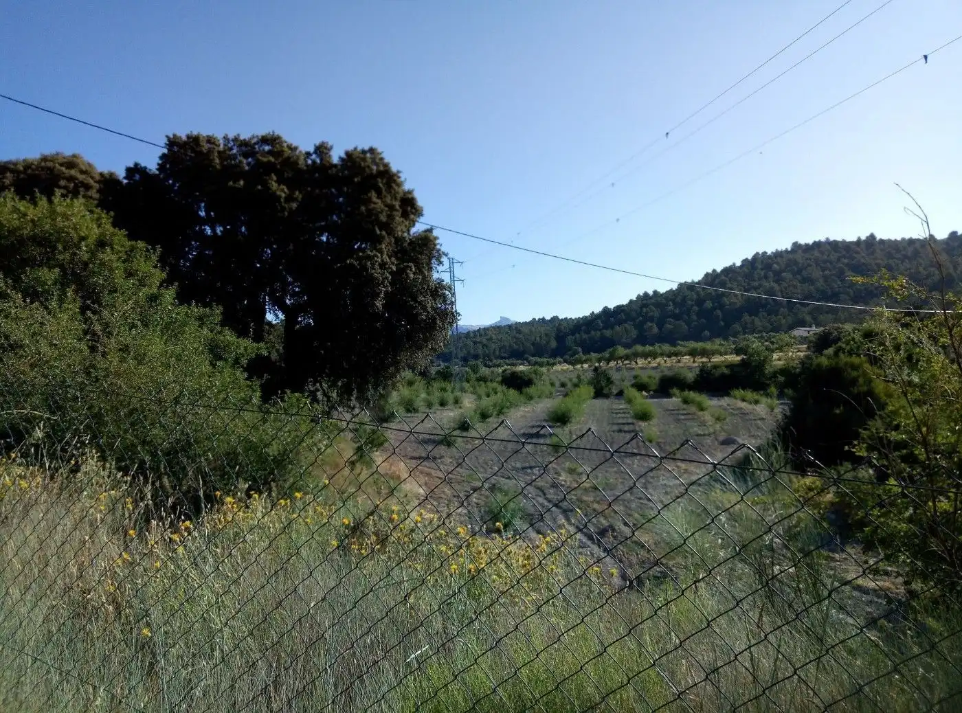 Terreni e lotti in vendita a Huéscar, imagen 71