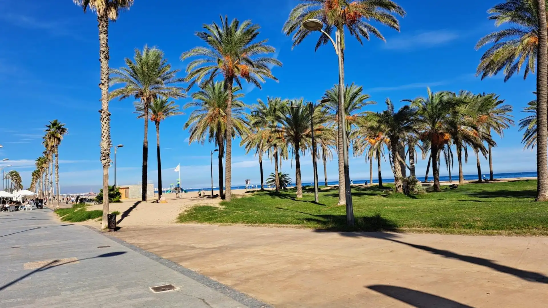 Commercial properties for sale in La Patacona