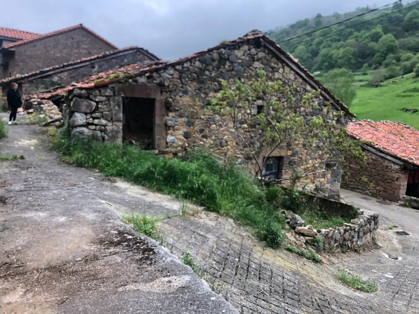 Exterior view of Buildings for sale in Lamasón