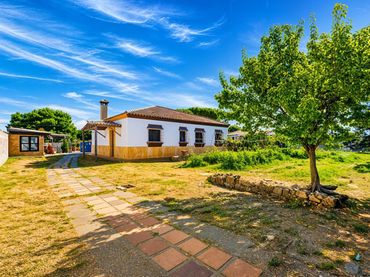 Xalet amb jardí en venda a La Barrosa