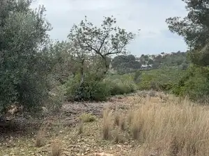 Terreno rustico in vendita a Carrer Major 22, imagen 5