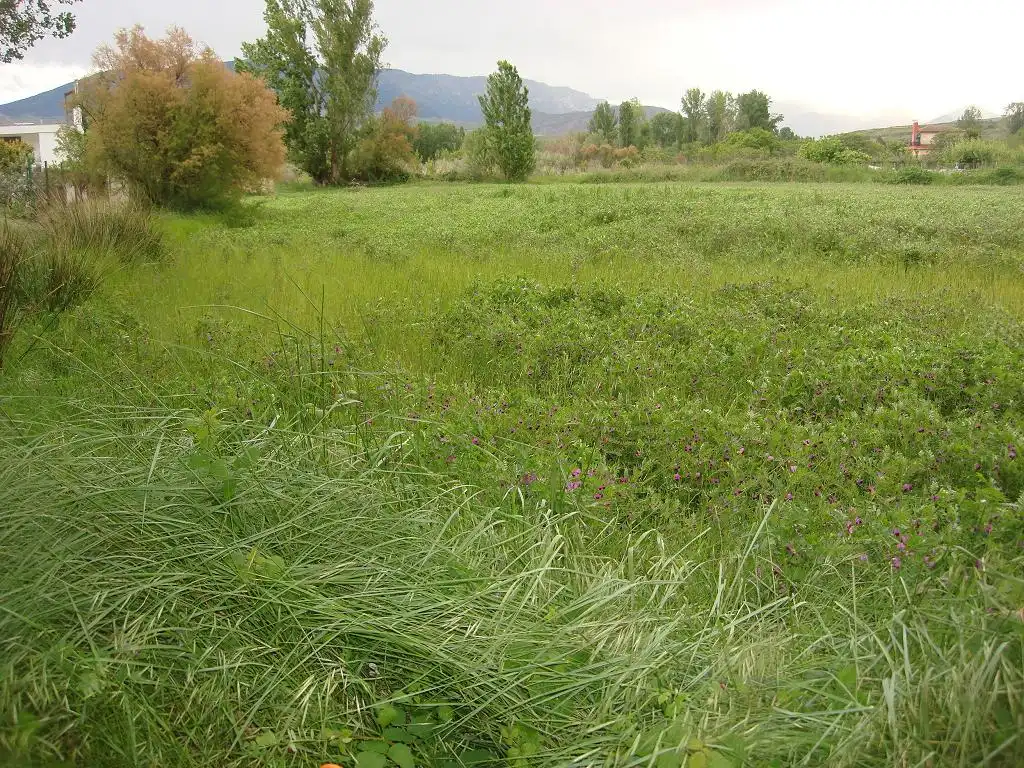 Terreno rústico en venta en Ribafrecha, imagen 9
