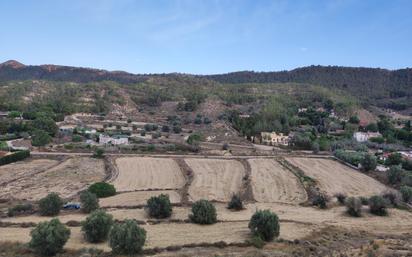 Land for sale in Carretera del Puerto del Garruchal, 97, San José de la Vega