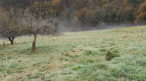 Photo 5 of House or chalet for sale in Las Regueras  , Asturias