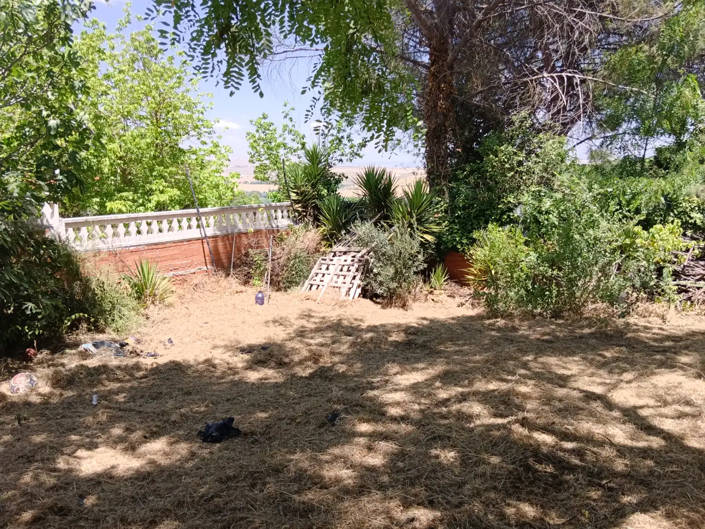 Jardí de Casa o xalet en venda en Illana amb Jardí privat, Terrassa i Piscina