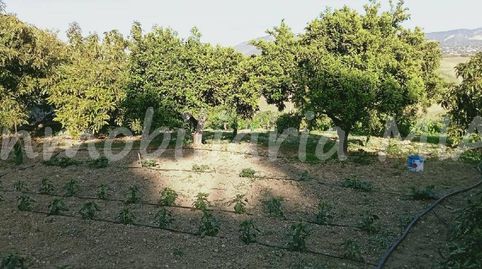 Foto 5 de Casa o xalet en venda a Centro, Alhaurín de la Torre