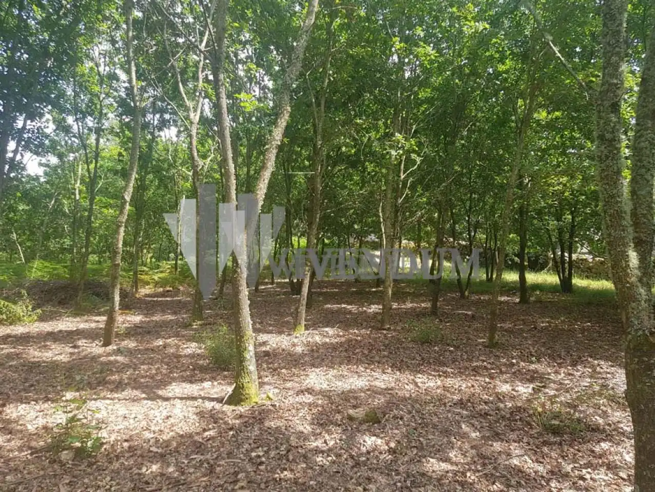 Residential for sale in A Lama  