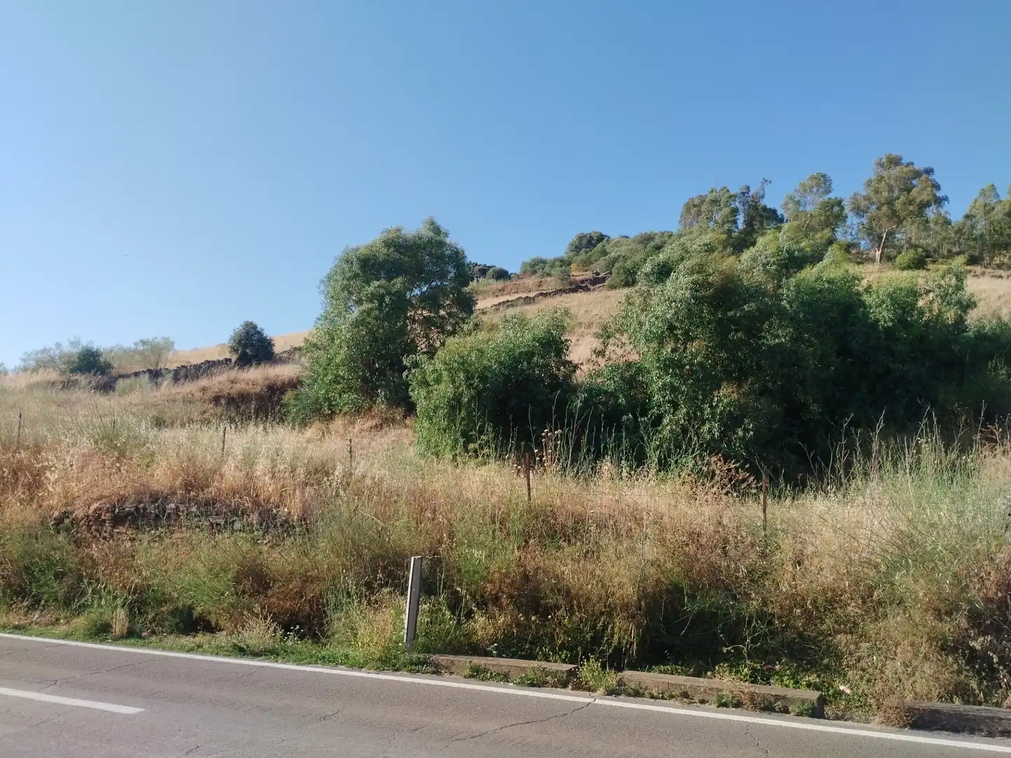 Terreni e lotti in vendita a Jerez de los Caballeros, imagen 6
