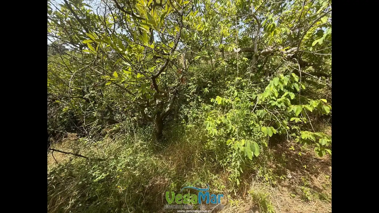 Grundstücke und Bauplätze zum Verkauf in Los Bancales, imagen 36
