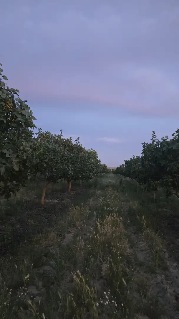 Terreno rustico in vendita a Ontígola, imagen 14