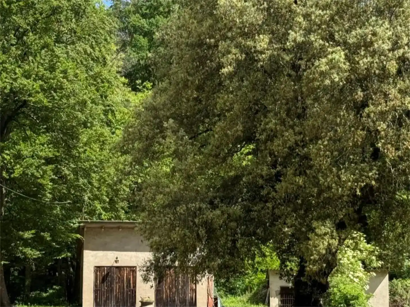 Vista exterior de Pis en venda en Santa Pau amb Jardí privat i Traster