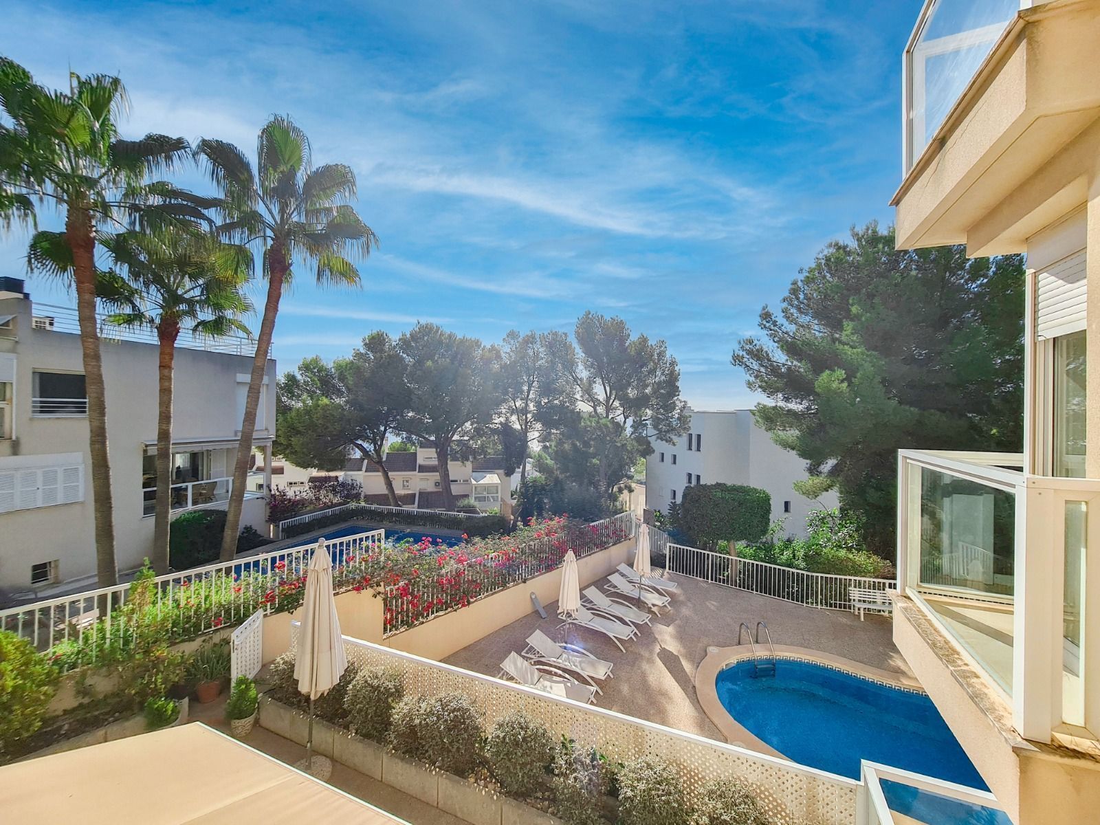 Swimming pool of Apartment to rent in Calvià  with Air Conditioner, Terrace and Furnished