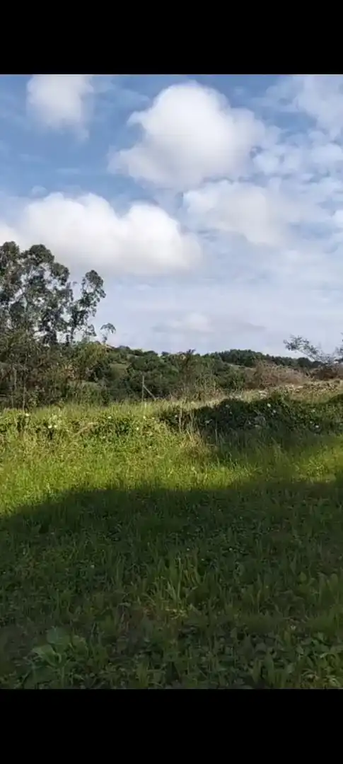 Finca rústica en venta en Valdáliga