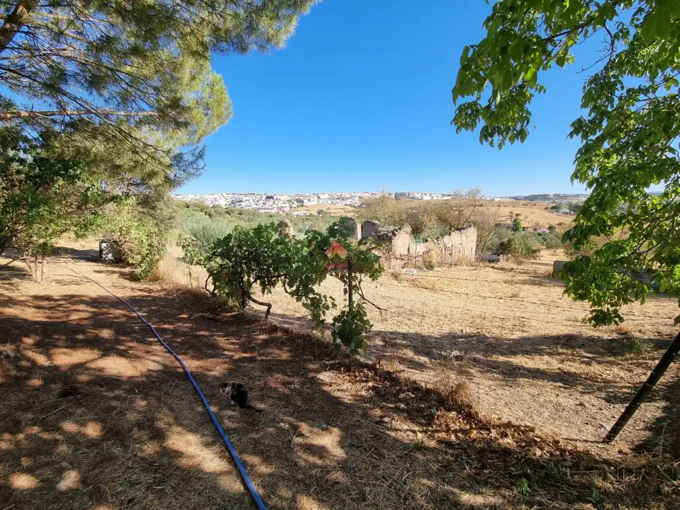 Casa rústica en venta en Casco Histórico, imagen 5